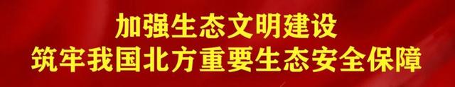 首个“5G沉浸式跨屏访谈”，“空间穿越”成真！