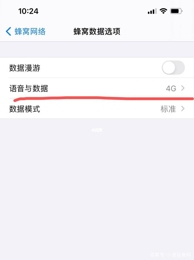 苹果12怎么关掉5G网络？