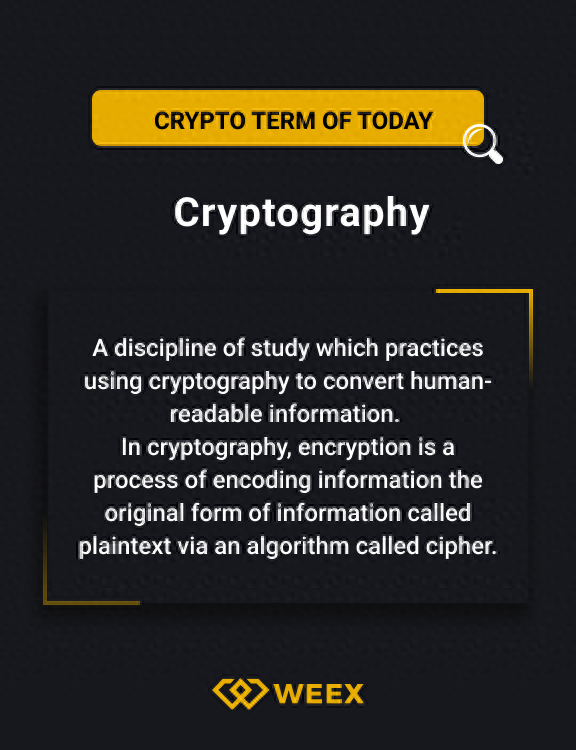 WEEX Crypto词条百科：2023年最新区块链术语