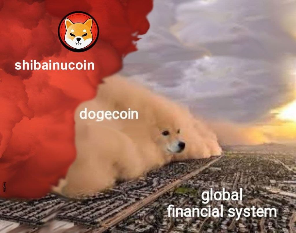 感染狂犬病的shib搏傻还是庶民的胜利