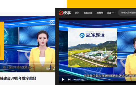 韓國寶海集團(tuán)攜手自鏈數(shù)藏的數(shù)字營銷案例