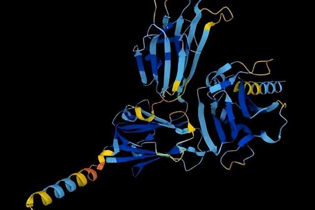 AI预测出几乎所有已知蛋白质结构，有望加快新药研发