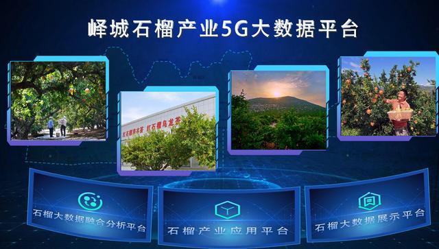 读懂枣庄2022：5G大数据成为石榴种植的最好“肥料”