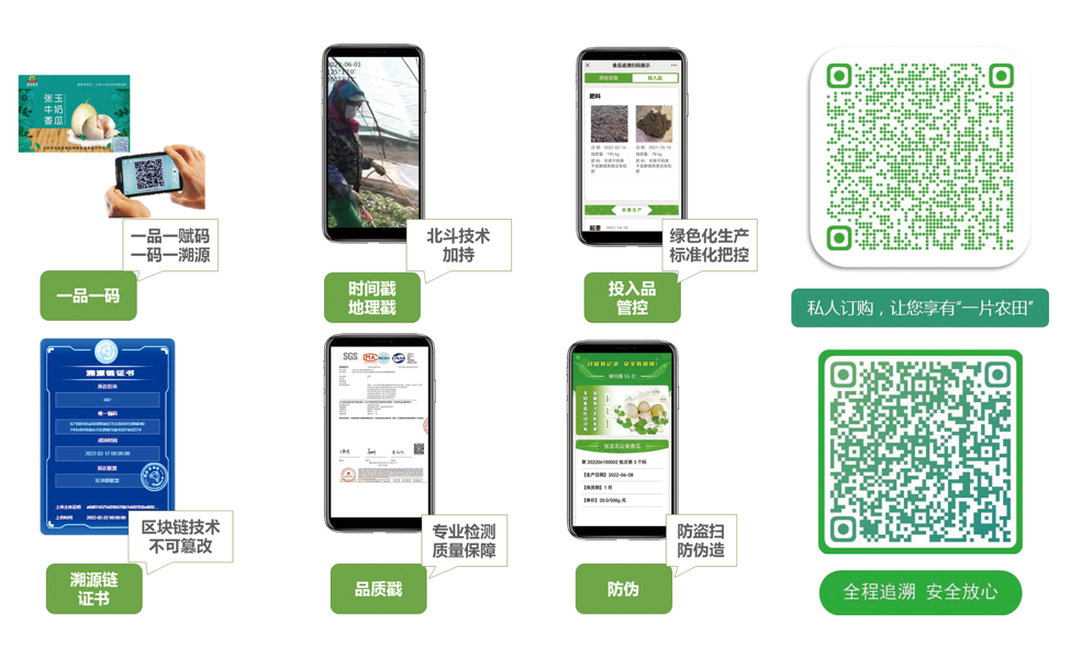 区块链农产品全流程质量追溯！大庆市龙凤区一个平台对接“四个农业”