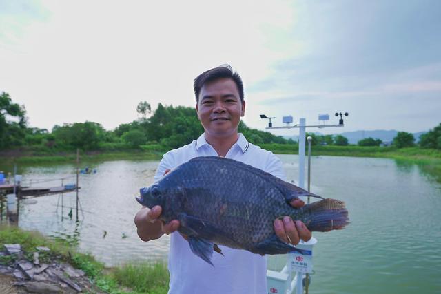 国内首个“云保险鱼塘” 利用物联网提升养鱼存活率