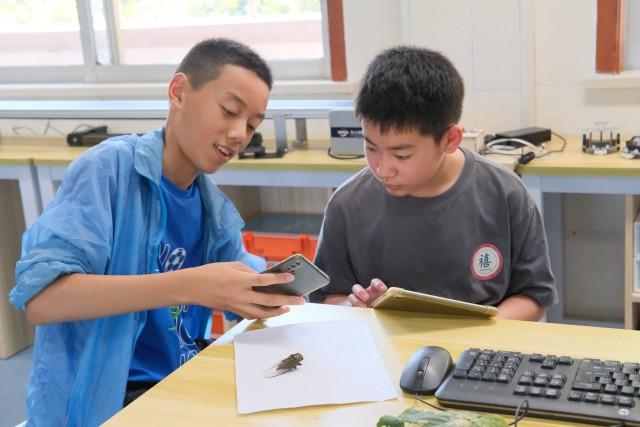 为学生创造力“撑腰”，温州瓯海打造“学有所用”的人工智能教育