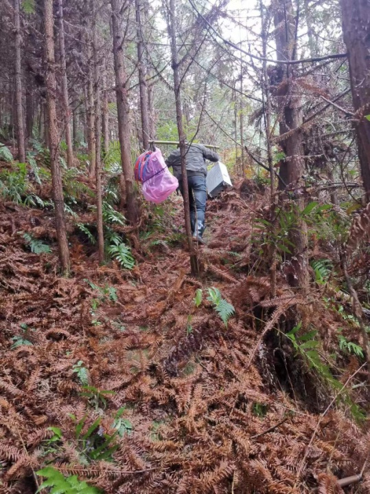 移动5G村村通丨克服困难在高山建起基站