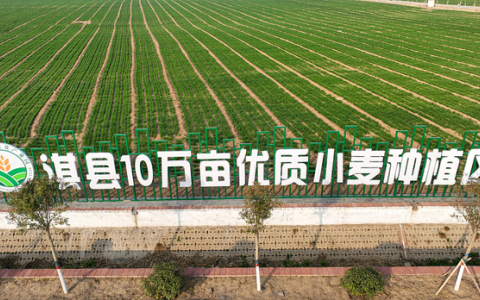 5G農(nóng)田的“智慧密碼”