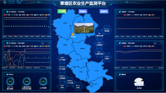 G技术助力广西贵港茶产业数字化转型及产业链延伸"