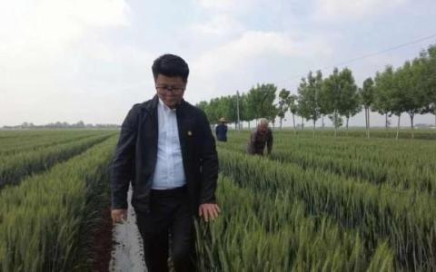 王偌飛：用5G技術種辣椒的“新農人”