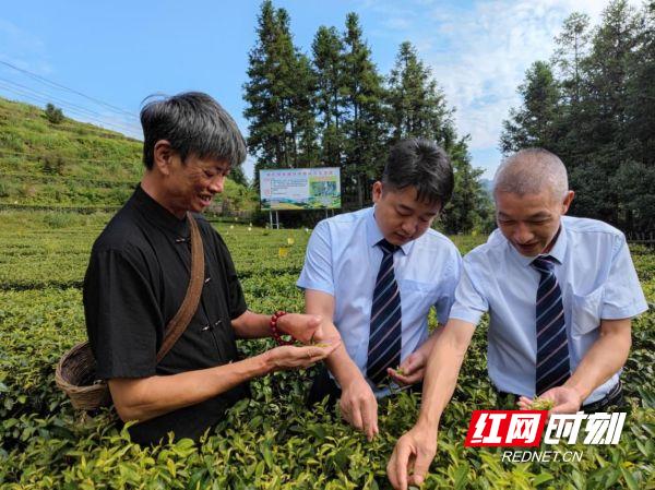 对标“人民性、精准性、普惠性” 以三农情怀书写现代化金融新局面