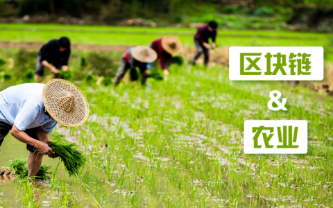區(qū)塊鏈技術(shù)在農(nóng)業(yè)中的應(yīng)用分析