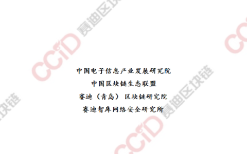 2022-2023 中国区块链年度发展报告