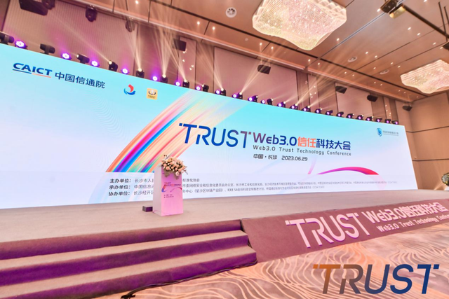蔡亮教授：元宇宙在未来将面对四大方面的挑战