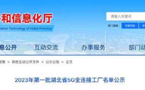 湖北新一批5G全連接工廠名單公示,！武漢 8個入圍