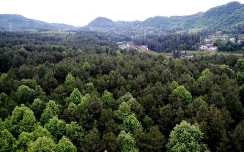 5G賦能 “智慧礦山”提效能