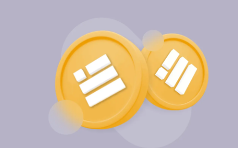 區(qū)塊鏈隱私保護(hù)方案：混幣器Ccs.Cash匿名交換BUSD