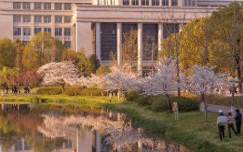 法国尼斯大学区块链与数字经济管理博士学位项目