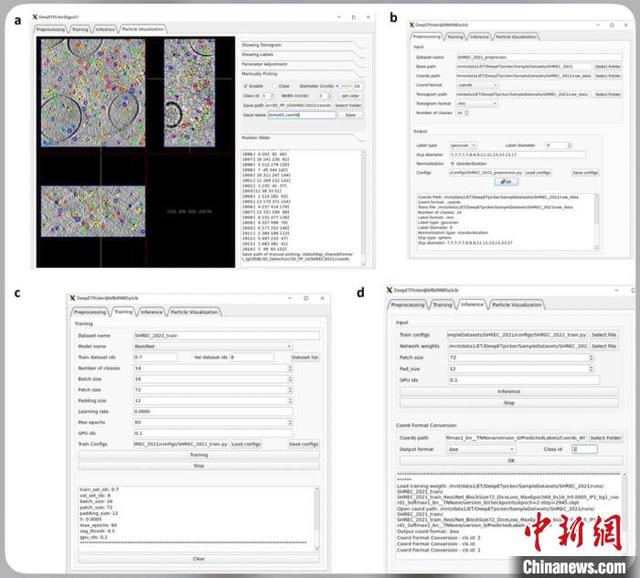 快速准确定位识别生物大分子 中国团队基于人工智能研究提出新方法