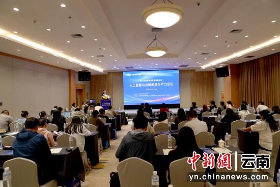 人工智能与出版新质生产力论坛落地昆明 专家共议行业融合发展