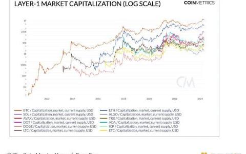 CoinMetrics：Layer1 區(qū)塊鏈生態(tài)系統(tǒng)數(shù)據(jù)透視