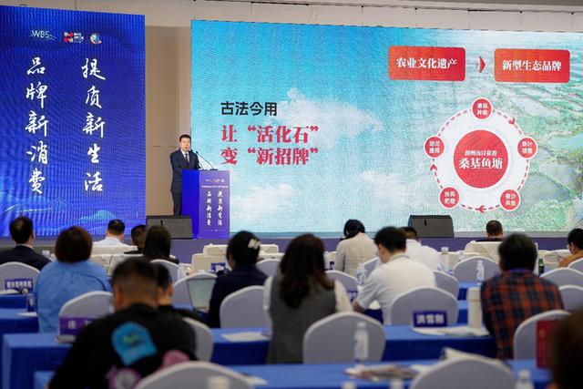 闫炯智：金融服务助力新消费品牌创新与共赢