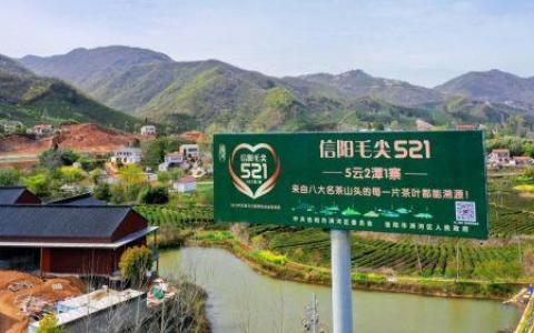 信阳毛尖正式开采，超级码科技股份区块链溯源体系全面应用核心产地浉河区“五云两潭一寨”