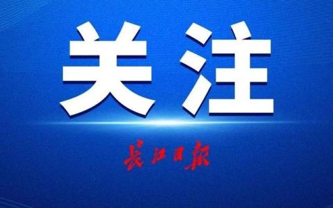 “黃鶴樓”首次作為知識(shí)產(chǎn)權(quán)存入?yún)^(qū)塊鏈，為海外文化推廣護(hù)航