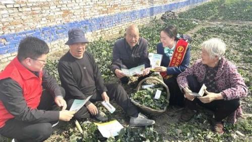 农银人寿普惠金融月亮新招，专项产品研发优化服务体验