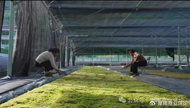 金融强国新时代，这家银行探索金融新范式见成效