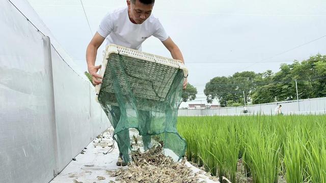 浙商银行湖州分行：砥砺深耕十四载，共绘金融向善新篇章