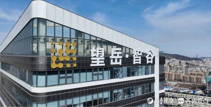 市中区望岳·智谷产业园：拥抱人工智能“黄金时代”