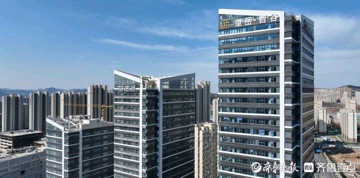 市中区望岳·智谷产业园：拥抱人工智能“黄金时代”