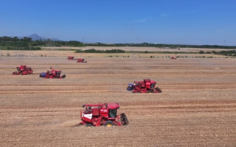22天收完几亿亩粮！揭秘中国农机何以创造速度奇迹